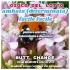 Gioco del Lotto: AMBATA (determinata) facile facile Butt Change by ...