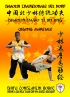 Shaolin Tradizionale del Nord Vol.10: QiGong Marziale - Shaolin DaM...