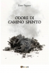 Odore di camino spento