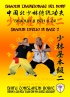 Shaolin Tradizionale del Nord Vol.2: Livello di Base - Dai Shi 1