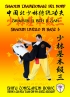 Shaolin Tradizionale del Nord Vol.3...