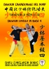 Shaolin Tradizionale del Nord Vol.4: Livello di Base - Dai Shi 3