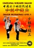 Shaolin Intermediate Level 3