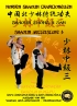Shaolin Mittelstufe 3
