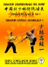 Shaolin Tradizionale del Nord Vol.8...