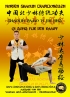 Shaolin QiGong fur den Kampf -...