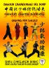 Shaolin Tradizionale del Nord Vol.11: QiGong Medico per la Salute