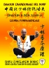 Shaolin Tradizionale del Nord Vol. 12: Teoria Fondamentale