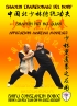 Shaolin Tradizionale del Nord Vol.14: Shaolin Hei Hu Quan - Applica...
