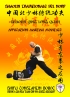 Shaolin Tradizionale del Nord Vol.16: Shaolin Qing Long Quan - Appl...