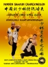 Shaolin Qing Long Quan - Erweiterte Kampfanwendungen