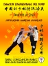 Shaolin Tradizionale del Nord Vol.17: Shaolin Qi Chui - Applicazion...